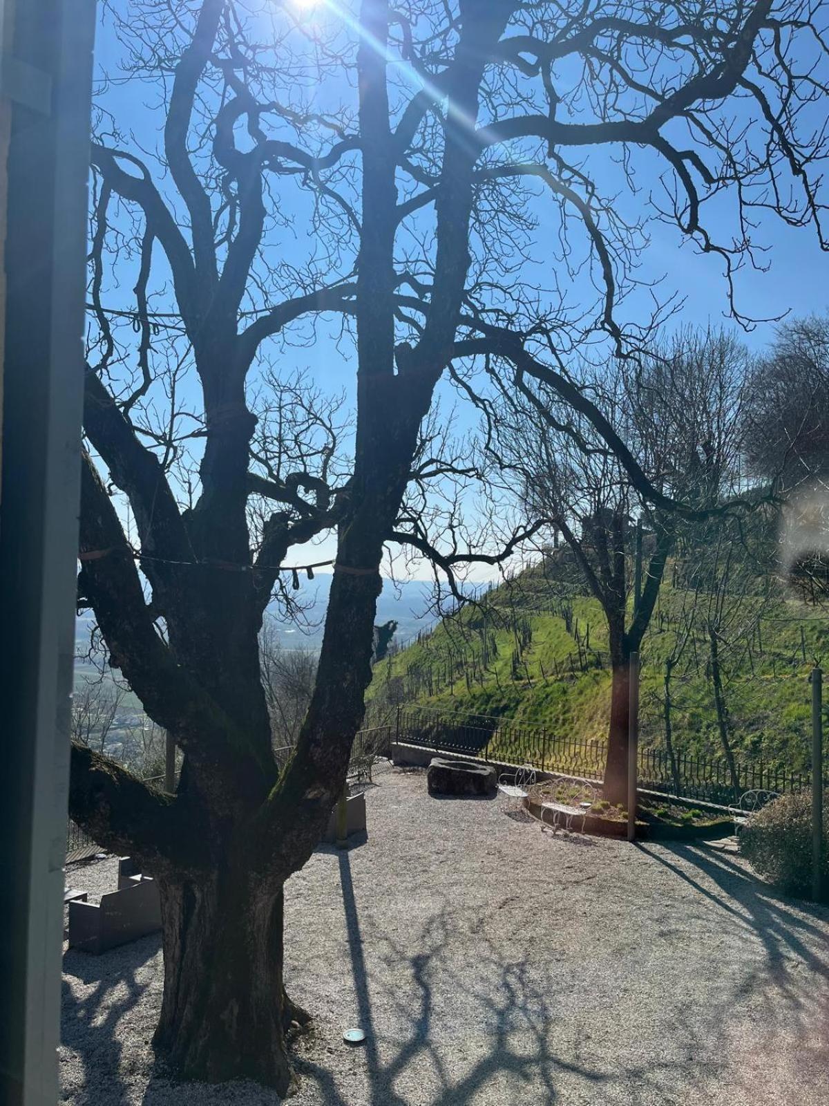 Locanda La Candola Farra di Soligo Eksteriør bilde